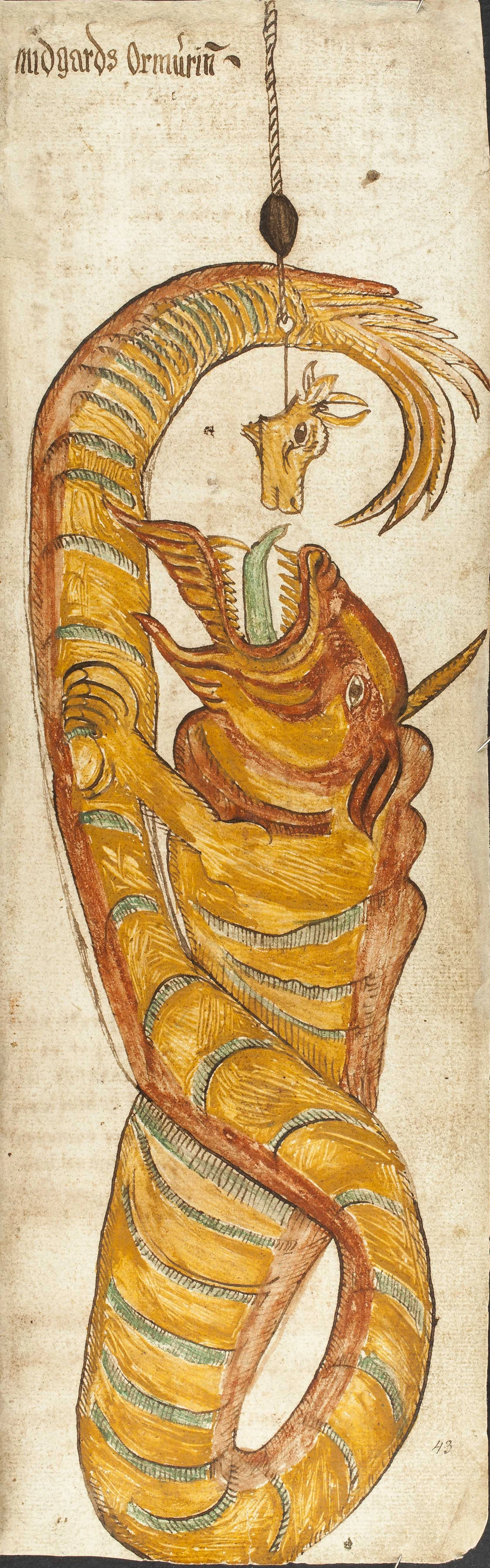 Medieval manuscript illustration labelled 'Midgards Ormurin', showing the World Serpent coiled with a goat's head hanging above it.
