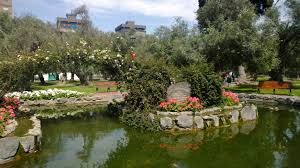 Bosque El Olivar